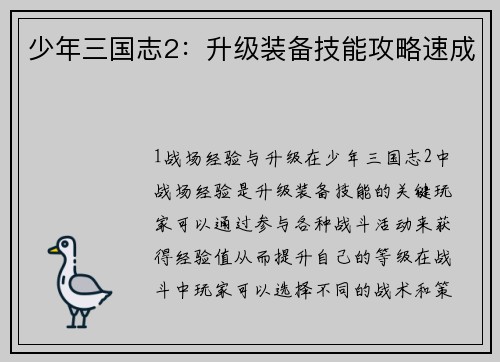 少年三国志2：升级装备技能攻略速成